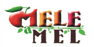 logo-300×152