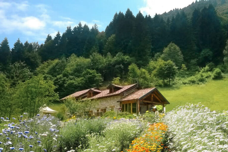 ANTEPRIMA-1