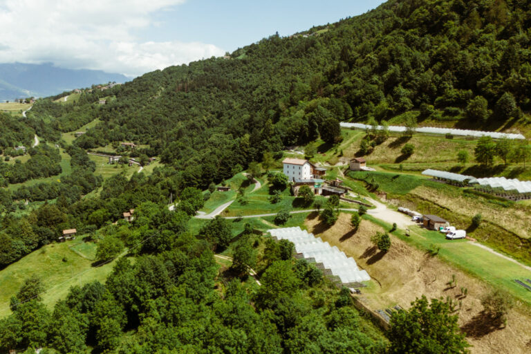 DJI_20240610122050_0061_D-1