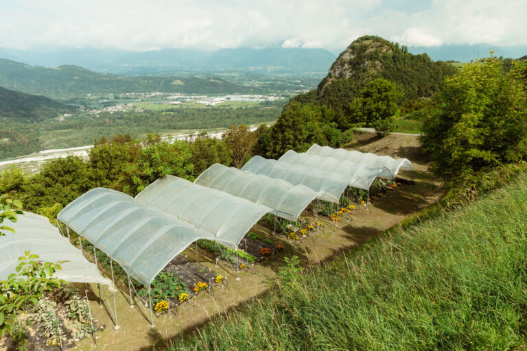 RobertoDePellegrin_060824-2-1