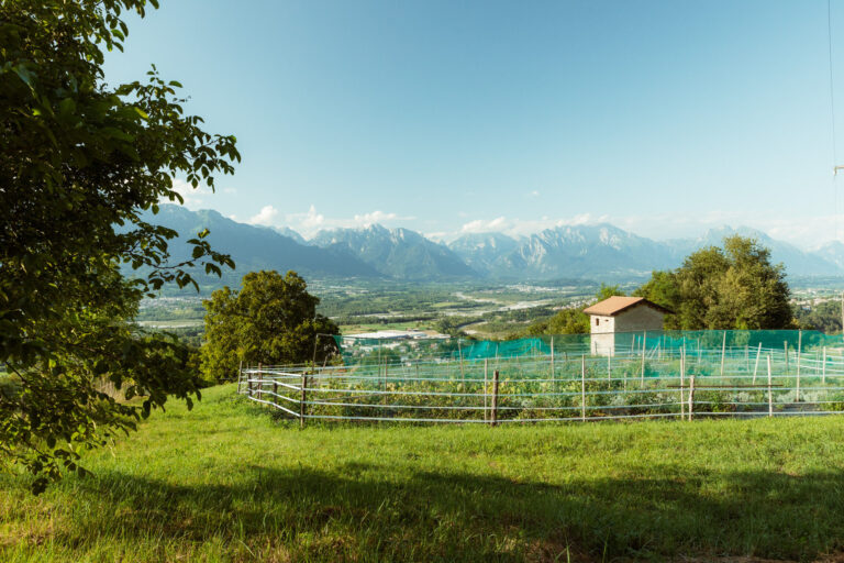 RobertoDePellegrin_080824-2