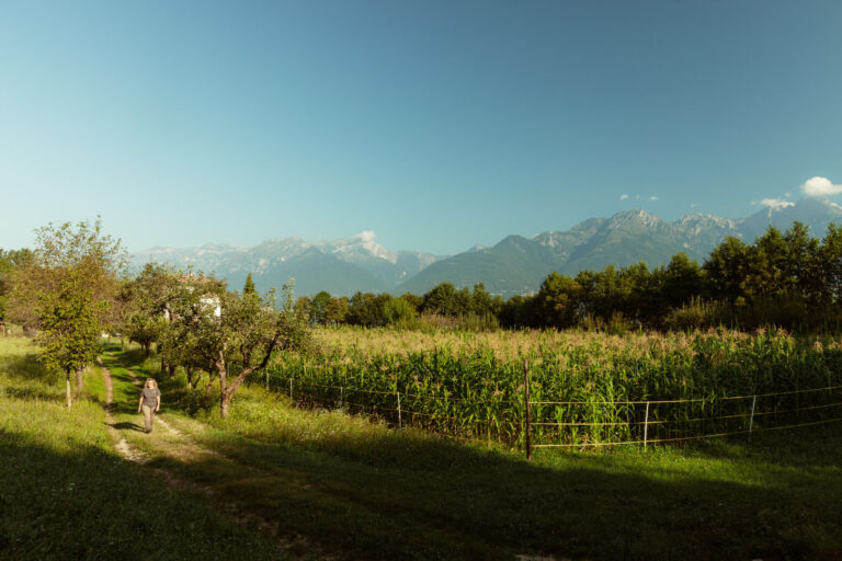 RobertoDePellegrin_100824-2-1