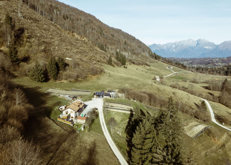 RobertoDePellegrin_211124-2