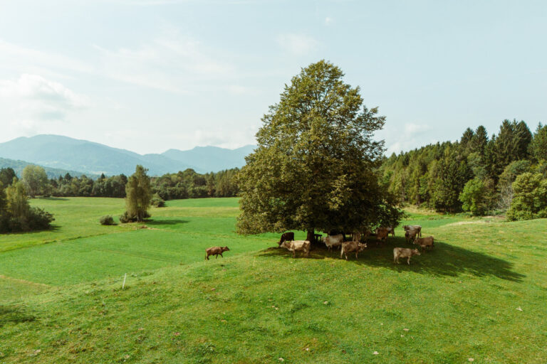 RobertoDePellegrin_220824-11