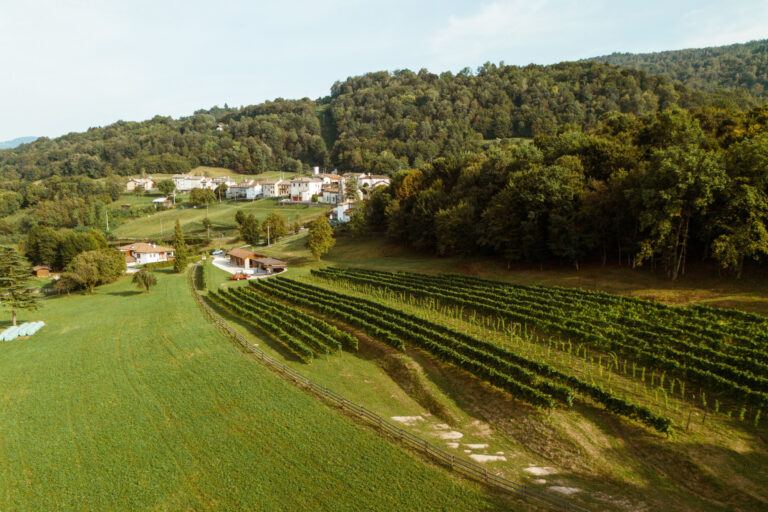 RobertoDePellegrin_220824-5-2