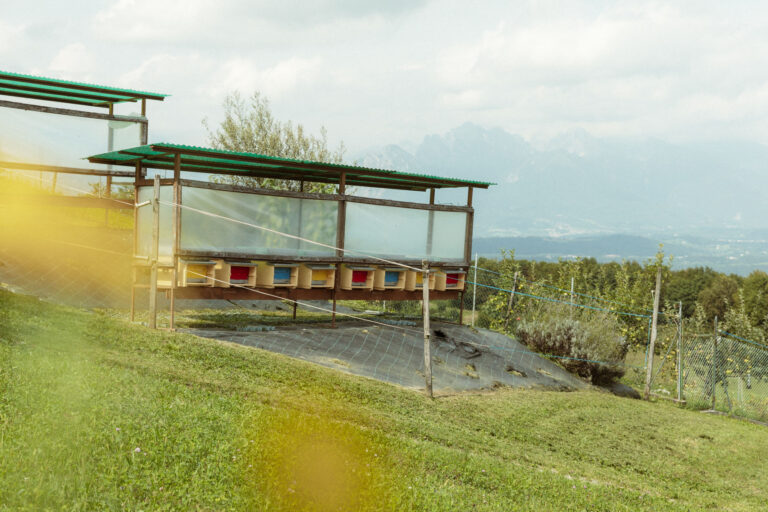 RobertoDePellegrin_220824-7