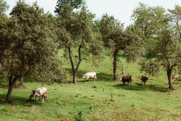 RobertoDePellegrin_220824-8