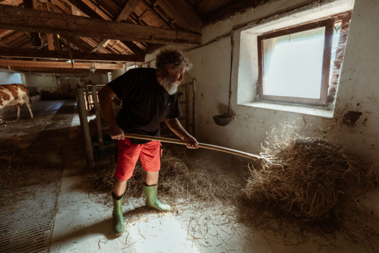 RobertoDePellegrin_290824-3-1
