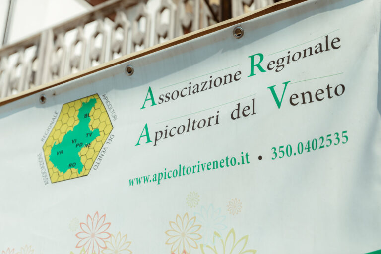 RobertoDePellegrin_300824-11-1