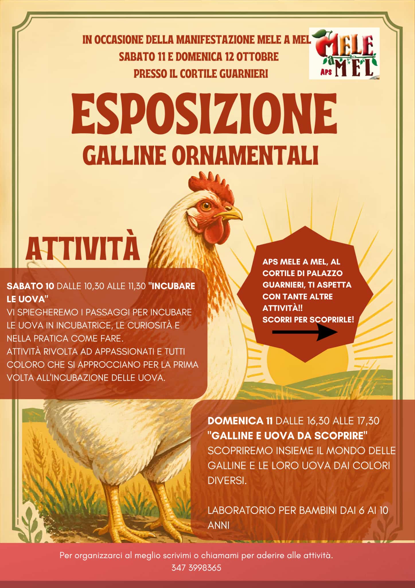 Locandina esposizione galline