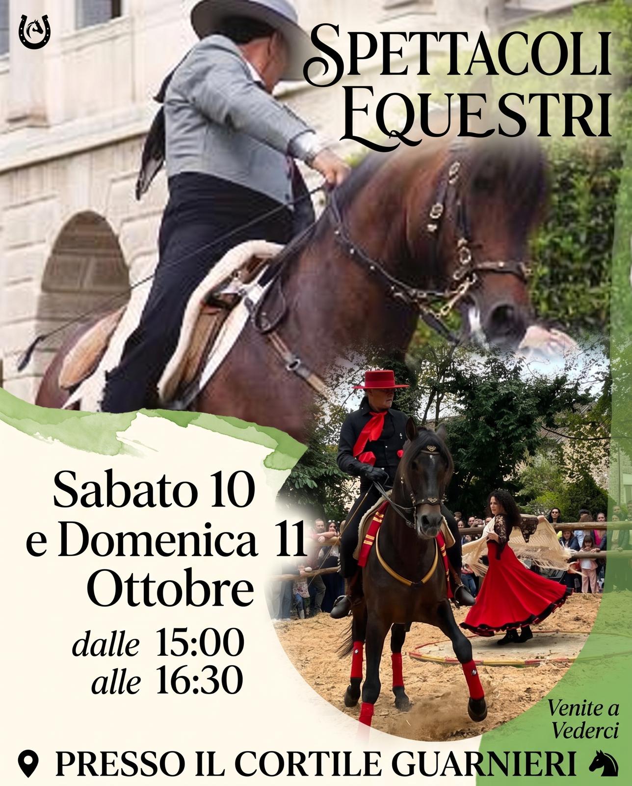 Spettacoli equestri